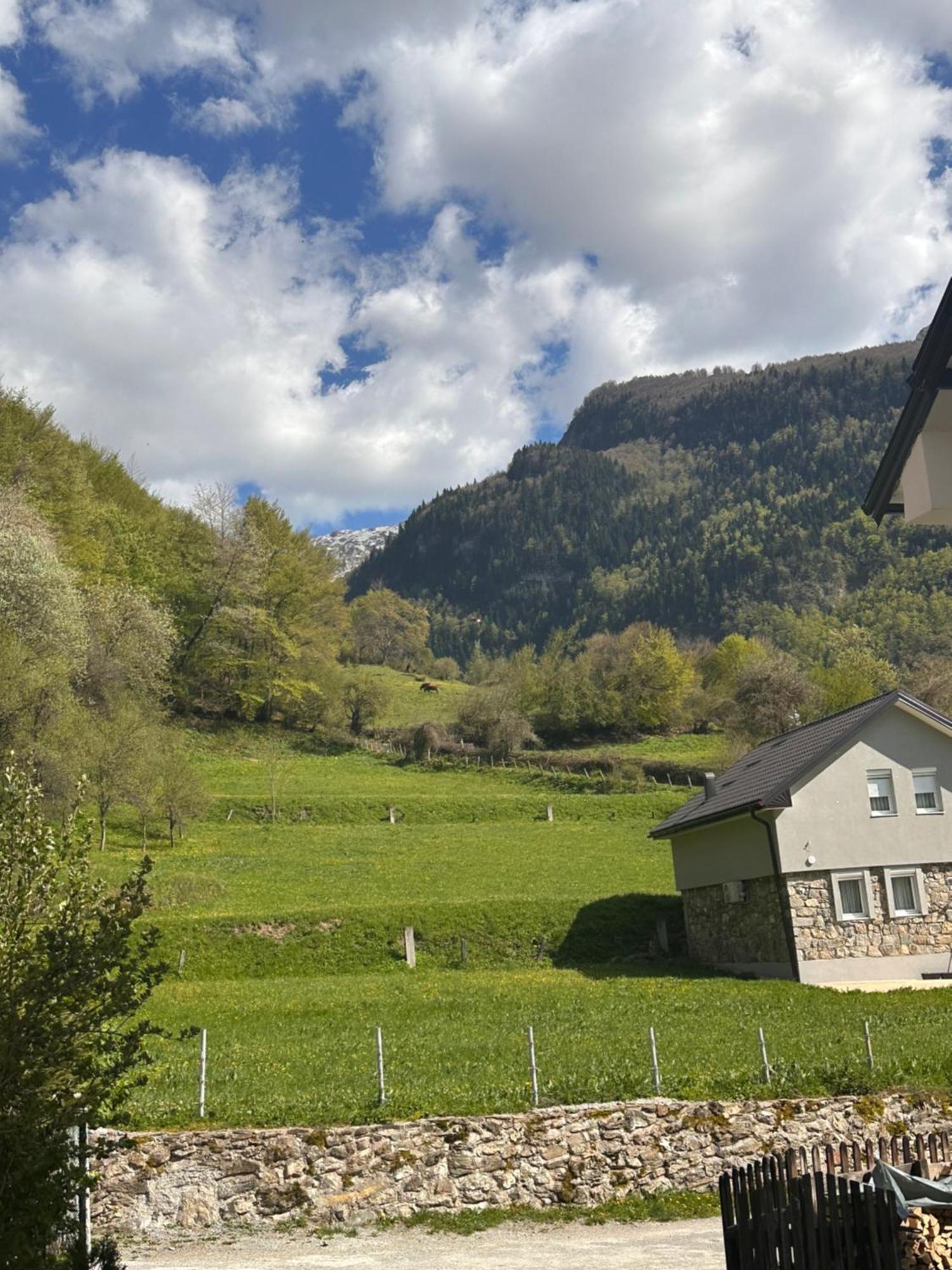 Guest House Guri Vusanje Exterior photo